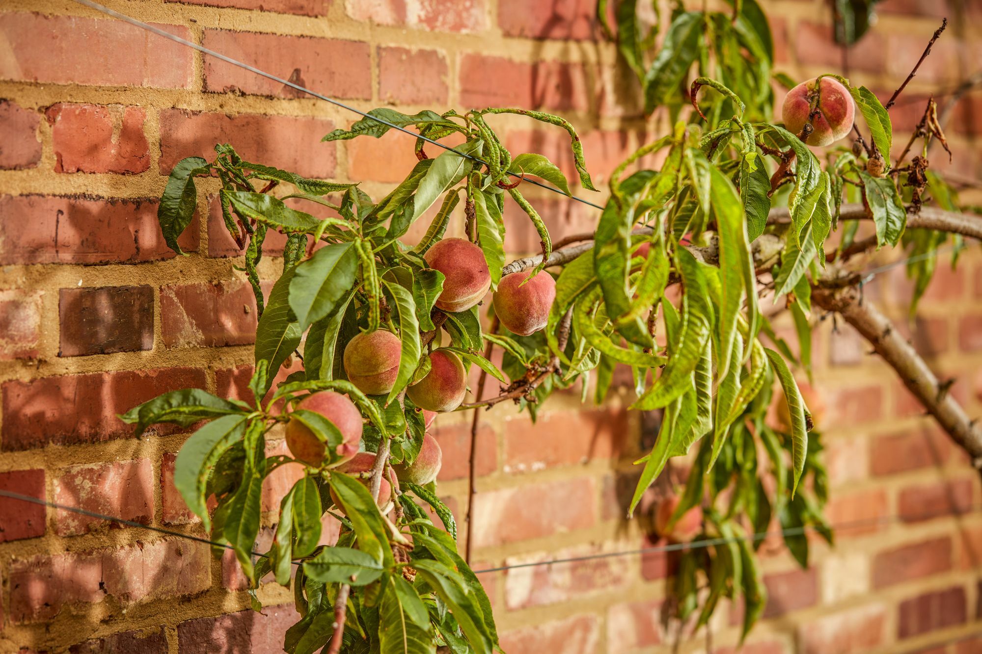 Mallory Court Country House Hotel & Spa Leamington Spa Eksteriør billede
