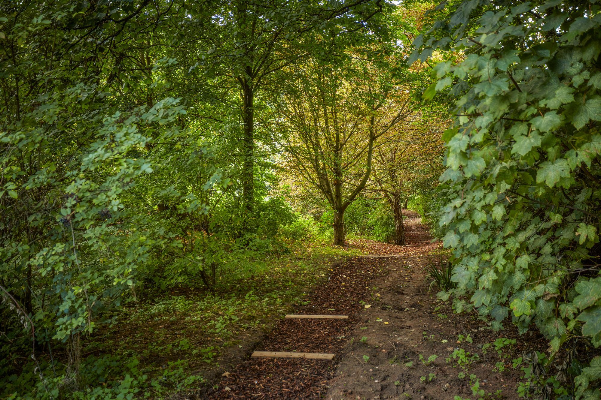 Mallory Court Country House Hotel & Spa Leamington Spa Eksteriør billede